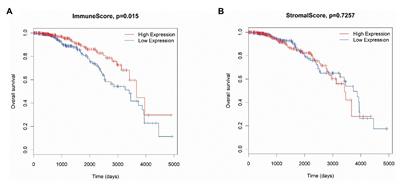 Identification of Tumor Microenvironment-Related Prognostic Biomarkers in Luminal Breast Cancer